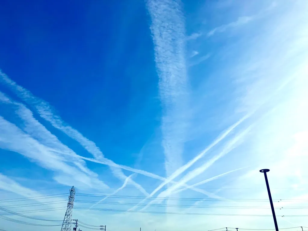 女性用風俗セラピスト写メ日記